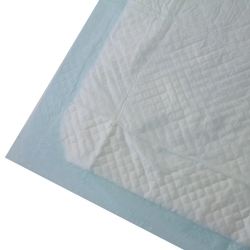 Empapador desechable |...