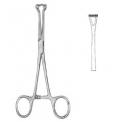 Babcock at pinza para...