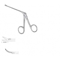 Bellucci tij.aur.mic.recta...