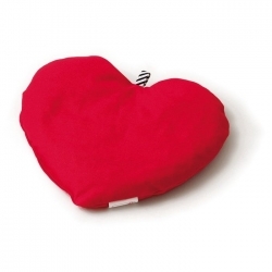 Coussin en noyau de cerise...