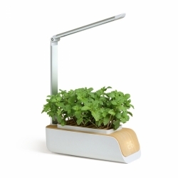 Giardino urbano interno | LED automatico | Coltivazione senza luce naturale | Altezza regolabile | 4,5W | Mini-grow |Mobiclinic